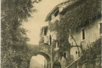 Sfoglia la galleria